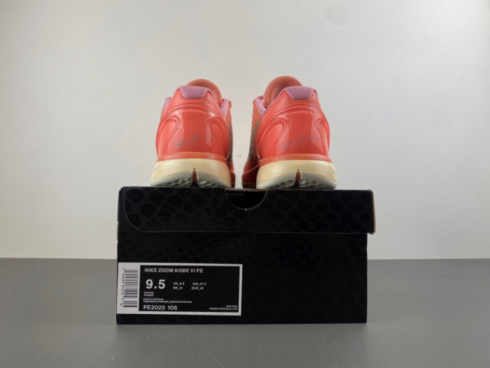 Nike Kobe 6 Protro